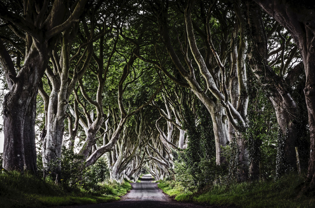 Game of Thrones Tours Belfast Northern Ireland Premier Tours